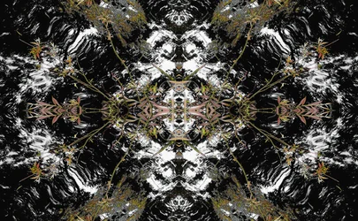 Unnatural 37（デジタル処理された写真）