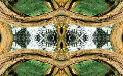 Unnatural 37（デジタル処理された写真）