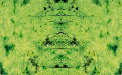 Unnatural 3（デジタル処理された写真）