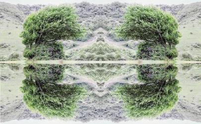 Unnatural 40（デジタル処理された写真）