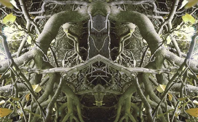 Unnatural 41（デジタル処理された写真）