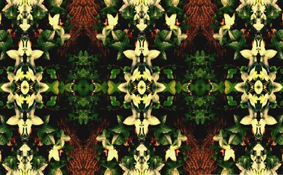 Unnatural 43（デジタル処理された写真）