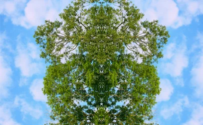 Unnatural 46（デジタル処理された写真）