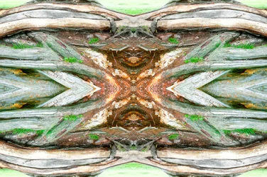 Unnatural 64（デジタル処理された写真）