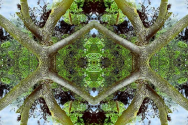 不自然な65.2（デジタル処理された写真）