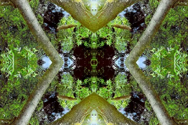 不自然な65.3（デジタル処理された写真）