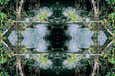 Unnatural 73（デジタル処理された写真）