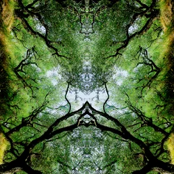 Unnatural 75（デジタル処理された写真）