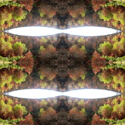 不自然な77.1（デジタル処理された写真）