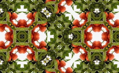 Unnatural 77（デジタル処理された写真）