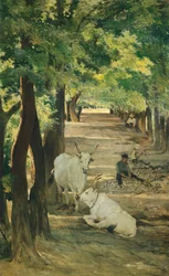 ジョバンニ・ファットーリ（1825-1908）作「牛と石割機のある通り（Avenue with Oxen and Stonebreaker