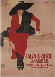 サルディトロリーシューズ、1897年