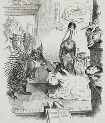 犬とヤマアラシ（Jean-Jacques Grandville (1803-1847)による風刺画、Giovanni Marianiによるリトグラフ（『Piorama Pittoresco』n 38, 4月30日より