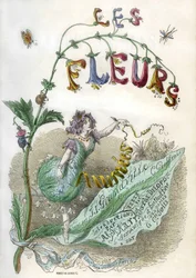 グランヴィルによる挿絵本「Les Fleurs animees」の扉絵、ステンシルによる彩色エングレーヴィング。ゴネ版1857年
