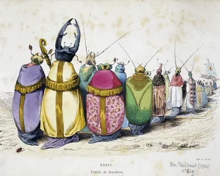 聖職者の服を着たカブトムシの行列-1829年「The Metamorphoses of the Day」よりグランビルの反執着的漫画