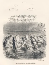 水の動物とトンボのラウンド。JJ Granvilleによるイラスト入りのヴィネット。Scenes de la vieie et publique des animaux "にPJ Stahlが書いた "Souvenirs d