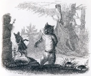猫とネズミ（Le chat et le rat） - La Fontaineの寓話