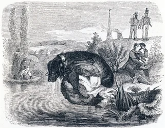 日陰のために獲物を放棄する犬（le chien qui abandonne sa proie pour son ombre） - La Fontaineの寓話