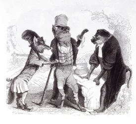 サルの前でキツネに懇願するオオカミ