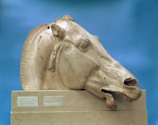 パルテノン神殿の東側ペディメントにある月の女神、セレーネの1頭の頭。紀元前447〜432年（大理石）