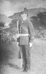 色軍曹、ザコンノートレンジャーズ、c1880
