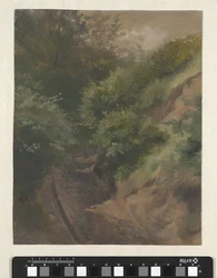 砂丘道