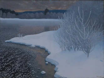 氷上の霜
