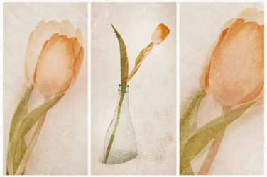 繊細なチューリップの静物画