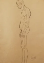ヌード男;裸の男、