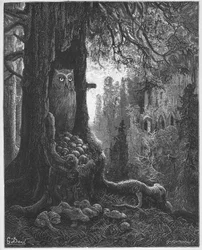 les souris et le chat-huant (ネズミとフクロウ) - Jean de La Fontaine (Lafontaine) (1621-95)の「寓話」より - Gustave Dore (1832-83)によるエングレーヴィング - 個人蔵