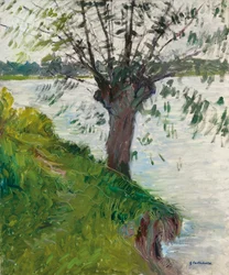 川沿いの柳。 Saule au bord de la riviere、c。 1891
