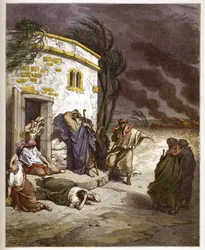 自分の破滅を聞くヨブ - Job learant sa ruine - - Gustave Dore (1832-1883) の "The Bible illustree" のエングレーヴィング - "The Dore Bible" のエングレーヴィング