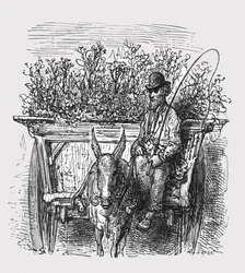 「フラワーホーカー」、1872年。