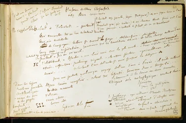 ワークブックのフォリオ41 n. 19 Gustave Flaubertの草稿のページ。BouvardとPecuchetのプラン。BHVP。