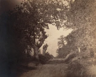 フォンテーヌブロー、上り坂の砂の道、カリフォルニア州。 1856年。