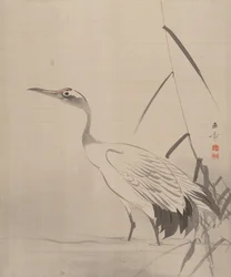 葦の間のクレーン、1887-92。