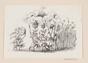 H.C.の「Den lille Idas Blomster」のイラスト アンデルセン「おとぎ話と物語」第1巻