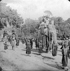 ハーディング卿と象に乗るインド、1913年。