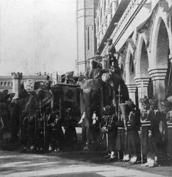 副王ゾウ、インド、デリー、1900年代。
