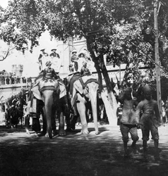 1900年代にインドのデリーにある象の行列に参加した副リーガルスタッフとその娘。
