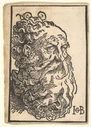 ひげを生やした男の頭、ca。 1518-19。