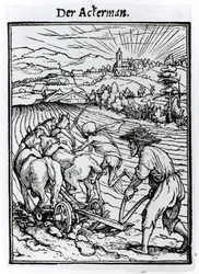 ハンス・ラッツェルバーガーによって刻まれた「死のダンス」（1538年頃）の「死とプラウマン」