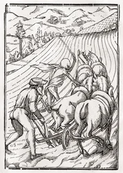 1843年にバーゼルで出版された「Der Todten Tanz」から、Georg Scharffenbergによって彫刻された農夫または夫のために死が訪れる