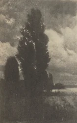カメラワーク。ポプラと雲」1906年