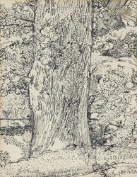 ツリー、1916