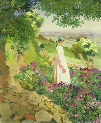 夏