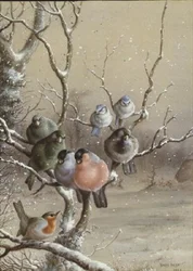雪の上の鳥