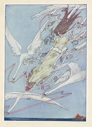 野生の白鳥たち。一日中、彼らは空を飛び続けた。