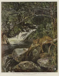 ヒョウの休息場所、私の庭の隅（クロモリト）