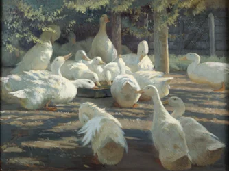 陽光と影（キャンバスに油彩）